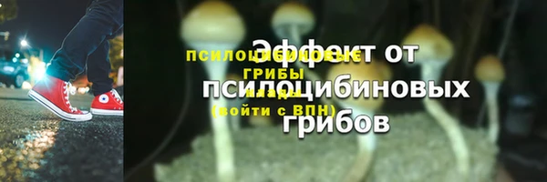Альфа ПВП Баксан