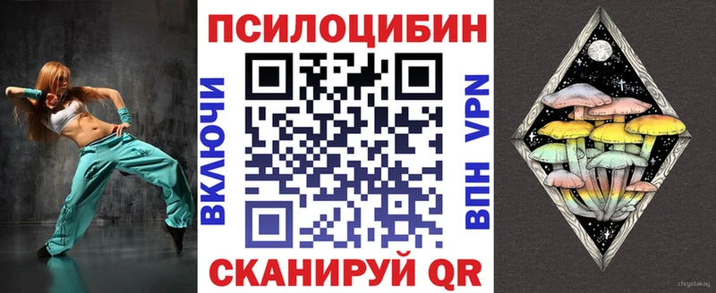 Купить Бирск Галлюциногенные грибы Psilocybine cubensis